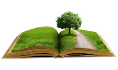 Dieses bild zeigt einen Baum auf einem Buch - umweltschonendes Papier