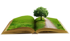 Dieses bild zeigt einen Baum auf einem Buch - umweltschonendes Papier Dieses bild zeigt einen Baum auf einem Buch - umweltschonendes Papier