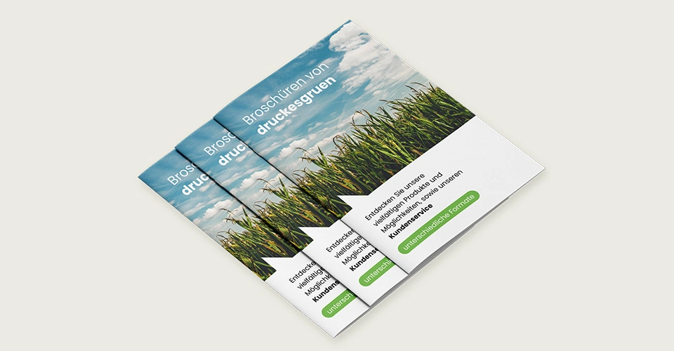 Mehrere Broschüren im DinA4-Format