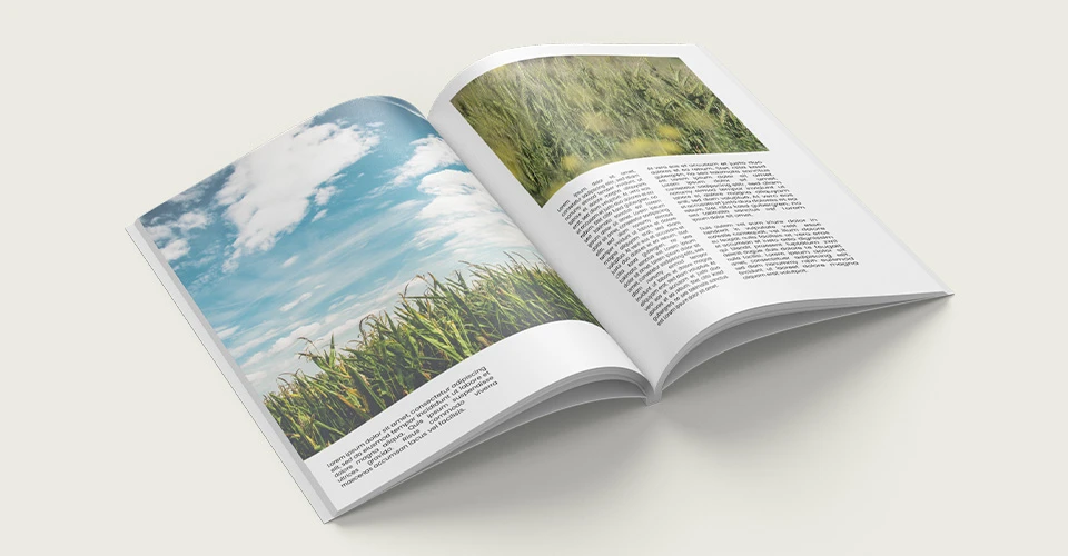 Aufgeschlagene Softcover-Klebebindung