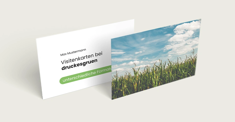 Visitenkarten-Muster mit bedruckter Vorder- und Rückseite auf baluem Hintergrund