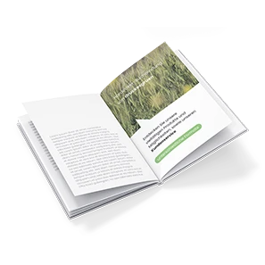 Aufgeschlagenes Hardcover-Buch mit Beispieldruck