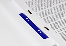 Abheftstreifen / Aktendulli