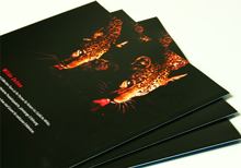 paperback with imprints