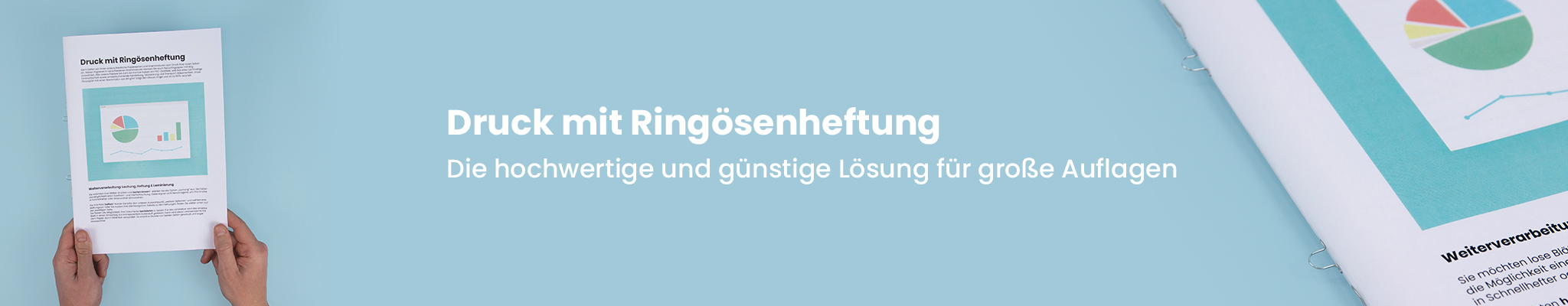 Druck mit Ringösenheftung