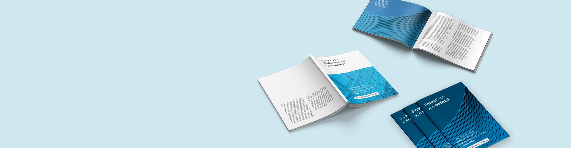 Various catalogs by sedruck