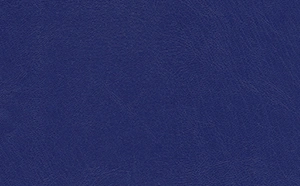 Book leather, navy