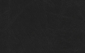 Book leather, black